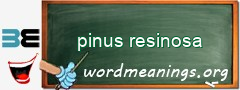 WordMeaning blackboard for pinus resinosa